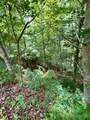 Lot 18 Clear Waters Edge Estate - Photo 5