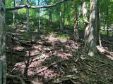 TBD Alida Court - Photo 13