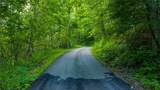 TBD 3 Big Laurel Road - Photo 16