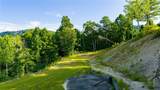 TBD 3 Big Laurel Road - Photo 2