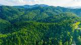 TBD 3 Big Laurel Road - Photo 4