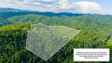 TBD 3 Big Laurel Road - Photo 5