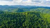 TBD 3 Big Laurel Road - Photo 7