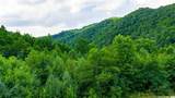 TBD 7 Big Laurel Road - Photo 13