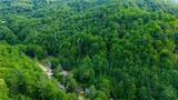 TBD 7 Big Laurel Road - Photo 14