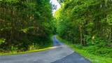 TBD 7 Big Laurel Road - Photo 19