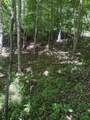 TBD Lot 37B Shady Valley Drive - Photo 2