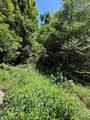 TBD Lot 37B Shady Valley Drive - Photo 3