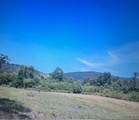 TBD Black Bear Acres Lane - Photo 2
