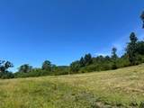 TBD Black Bear Acres Lane - Photo 3