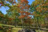Lot 60 Rocky Parkway - Photo 3