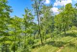 Lot 3 Horseshoe Trail - Photo 16
