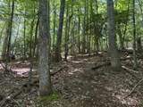 TBD Lot 30 High Meadows Court - Photo 6