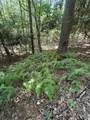 TBD Lot 20 High Meadows Lane - Photo 1