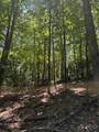 TBD Lot 20 High Meadows Lane - Photo 10