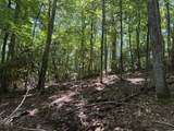 TBD Lot 20 High Meadows Lane - Photo 8