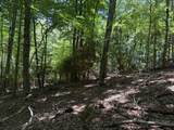 TBD Lot 20 High Meadows Lane - Photo 9