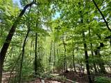 35 Acres Lot 23 Bear Track Lane - Photo 1