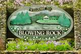 35 Acres Lot 23 Bear Track Lane - Photo 15