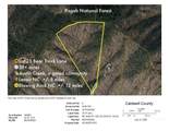 35 Acres Lot 23 Bear Track Lane - Photo 3