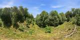Lot 1 Laurel Ridge Lane - Photo 3