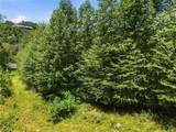 Lot 1 Laurel Ridge Lane - Photo 7