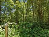 Lot 29 Chickasaw Trail - Photo 1