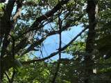 TBD Pinnacle Drive - Photo 13