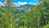 2780 Big Piney Creek Road - Photo 31