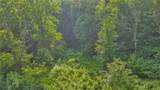 2780 Big Piney Creek Road - Photo 37