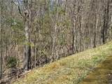 24 Elk Mountain Loop - Photo 5