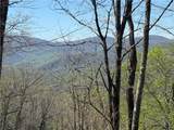 24 Elk Mountain Loop - Photo 6