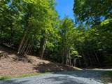 146 Sassafrass Road - Photo 1