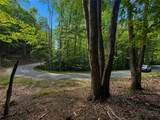 146 Sassafrass Road - Photo 5