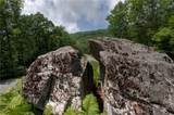 1709 Forest Ridge Drive - Photo 8