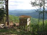 2 Us Highway 221 S - Photo 9