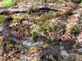 Lot 32 Piedra Road - Photo 10
