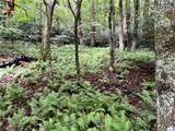 Lot 32 Piedra Road - Photo 2