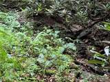 Lot 32 Piedra Road - Photo 3