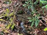 Lot 32 Piedra Road - Photo 9