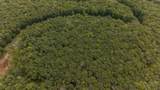 Lot 89 Elk Creek Mountain Parkway - Photo 10