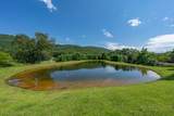 Lot 89 Elk Creek Mountain Parkway - Photo 14