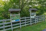 Lot 89 Elk Creek Mountain Parkway - Photo 19