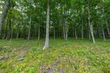 Lot 89 Elk Creek Mountain Parkway - Photo 2