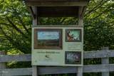 Lot 89 Elk Creek Mountain Parkway - Photo 20