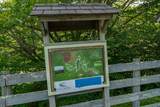 Lot 89 Elk Creek Mountain Parkway - Photo 21