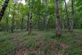 Lot 89 Elk Creek Mountain Parkway - Photo 5