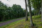 Lot 89 Elk Creek Mountain Parkway - Photo 8