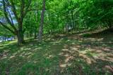 Lot 41 Turkey Crossing Lane - Photo 12