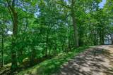 Lot 41 Turkey Crossing Lane - Photo 13